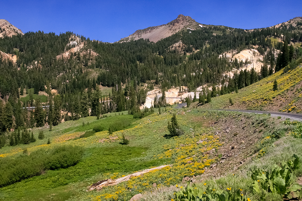 06-27 - 03.JPG - Lassen Volcanic National Park, CA